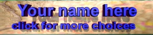 click here for more nametag choices